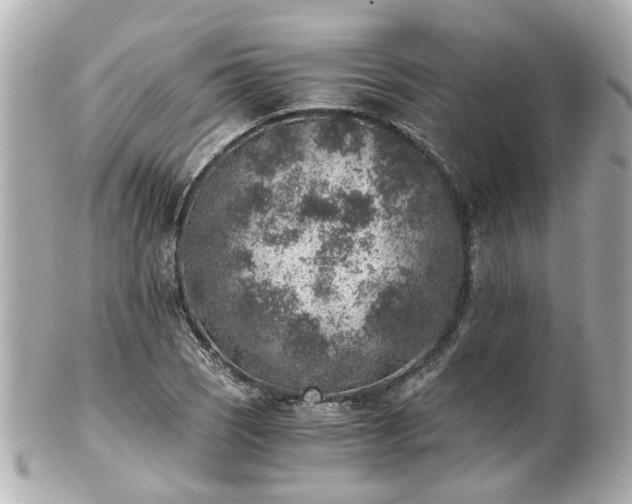 X0000100901121200807011214