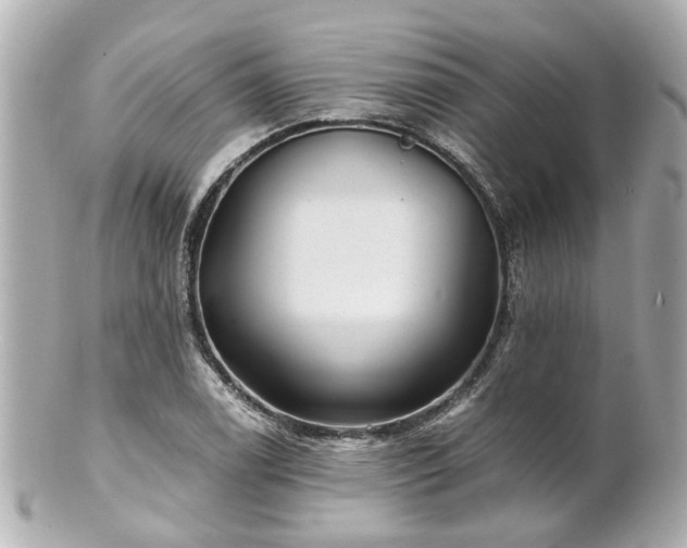 X0000100901122200807011214