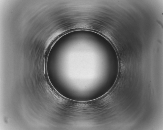 X0000100901123200807011214