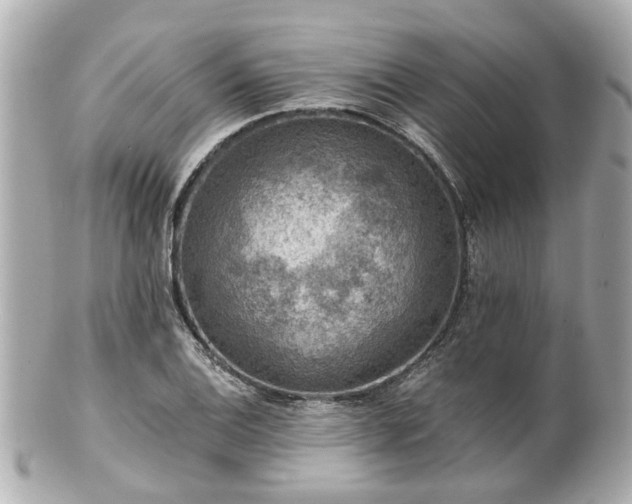 X0000100901124200807011214