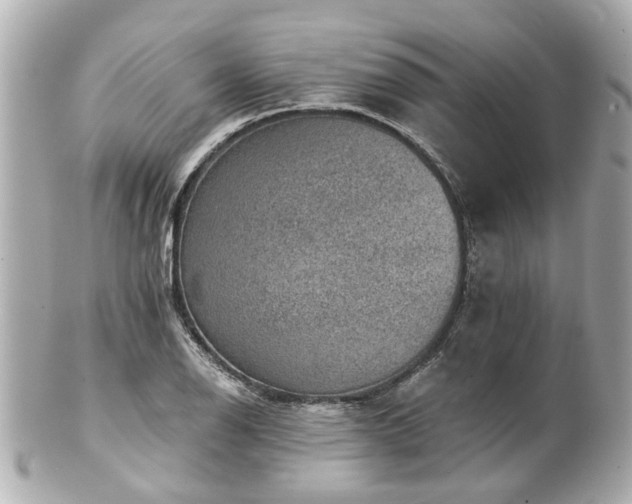 X0000100901126200807011214