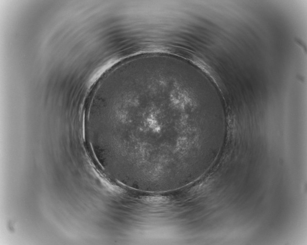 X0000100901127200807011214