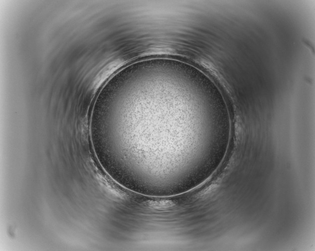 X0000100901129200807011214
