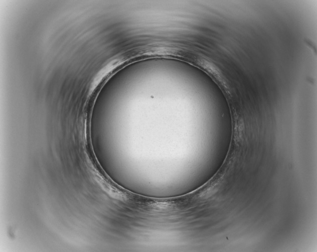 X0000100901130200807011214