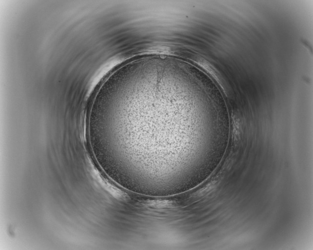 X0000100901131200807011214