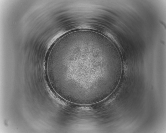 X0000100901133200807011214