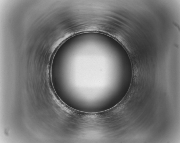X0000100901134200807011214