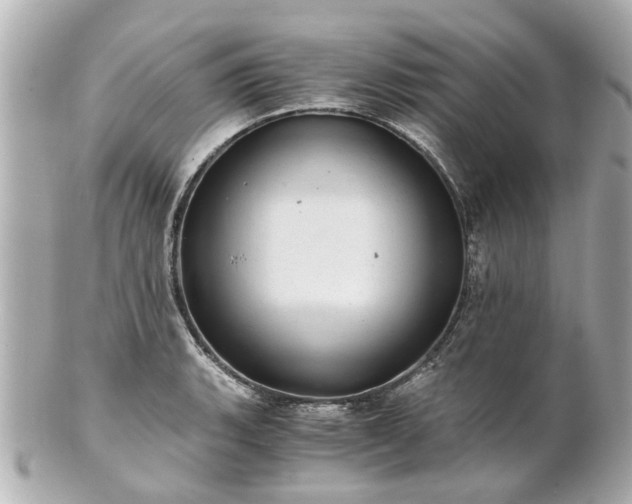 X0000100901135200807011214