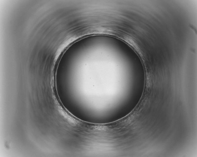X0000100901136200807011214
