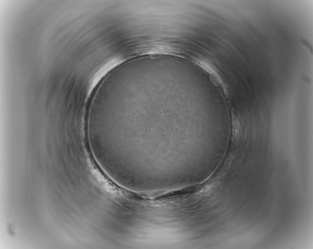 X0000100901138200807011214