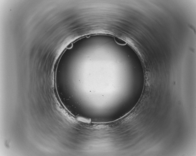 X0000100901140200807011214