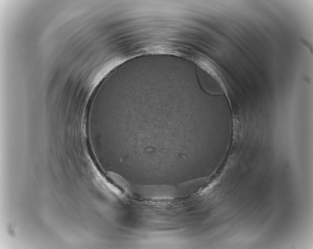 X0000100901141200807011214