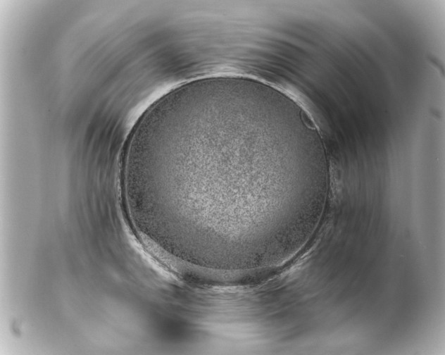 X0000100901142200807011214