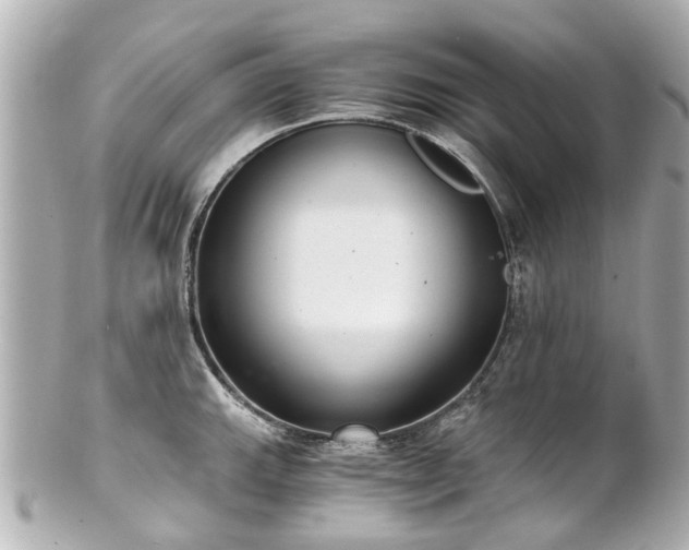 X0000100901143200807011214