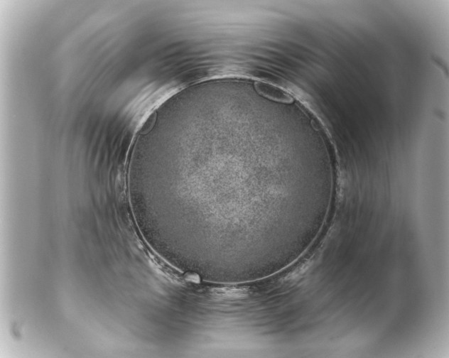 X0000100901145200807011214