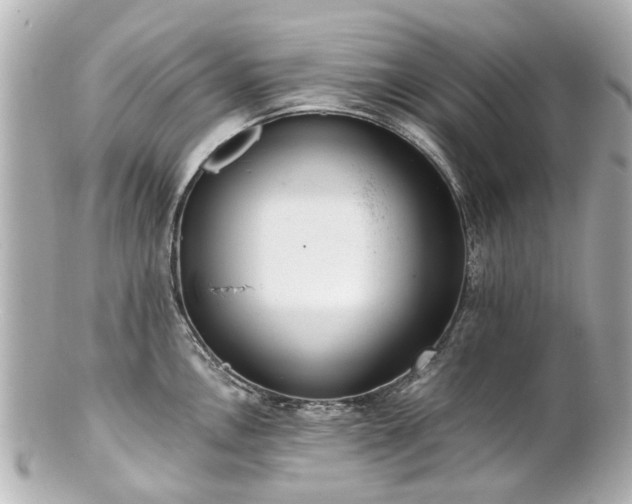 X0000100901146200807011214