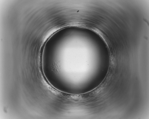 X0000100901147200807011214