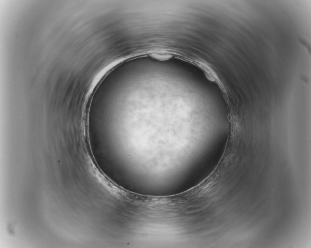 X0000100901148200807011214