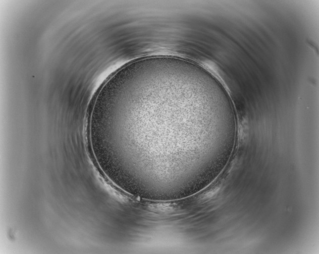 X0000100901149200807011214