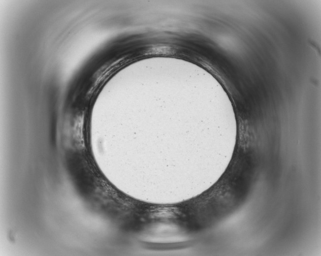 X0000100901150200807011214