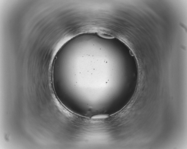 X0000100901152200807011214