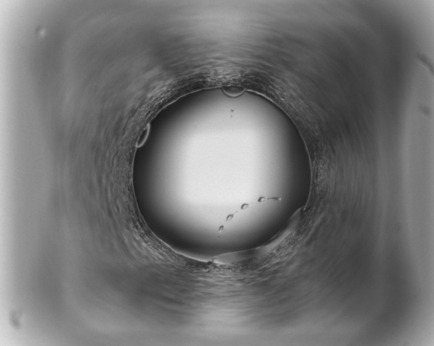 X0000100901153200807011213