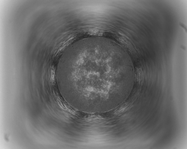 X0000100901154200807011213