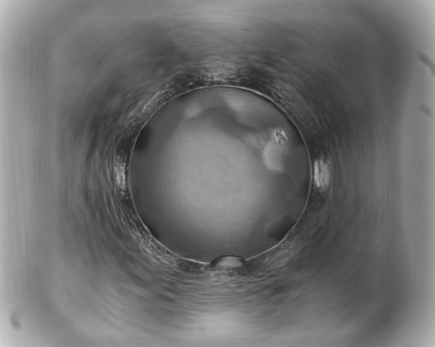 X0000100901155200807011213