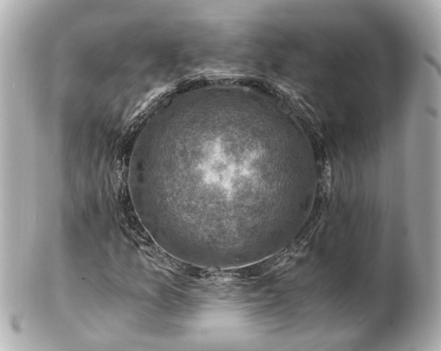 X0000100901157200807011213