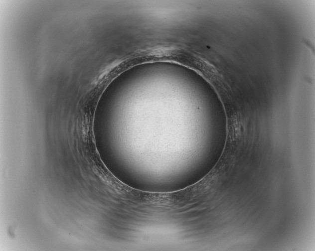 X0000100901158200807011213