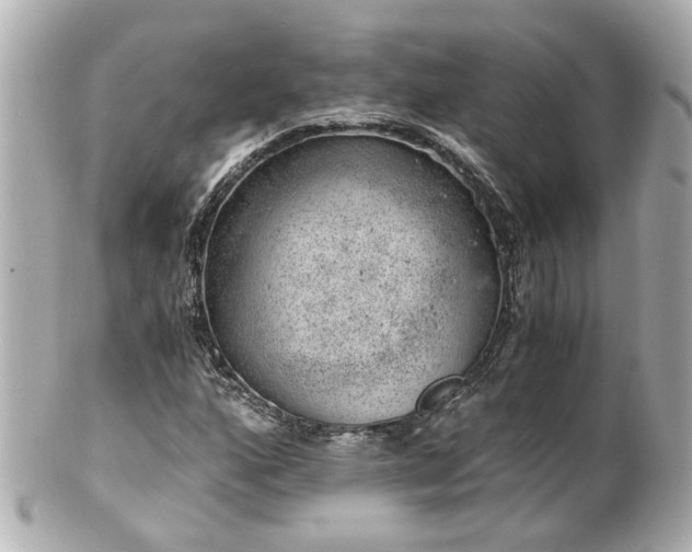 X0000100901160200807011213