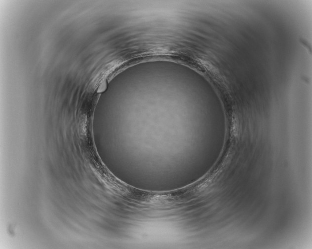 X0000100901161200807011213