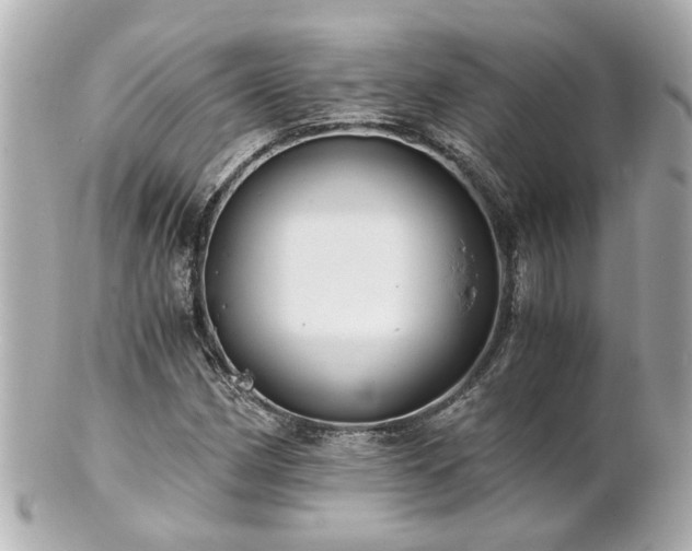 X0000100901162200807011213