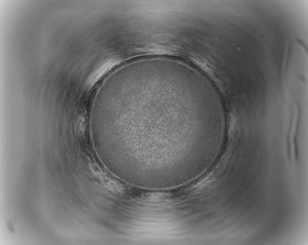 X0000100901163200807011213