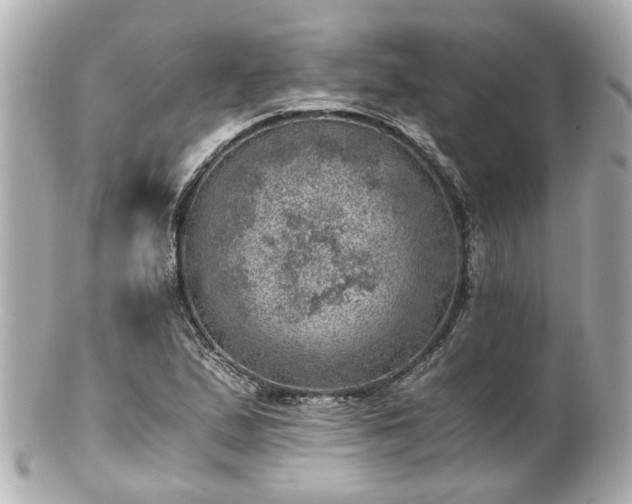 X0000100901167200807011213