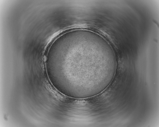 X0000100901168200807011213
