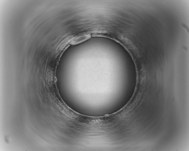 X0000100901169200807011213
