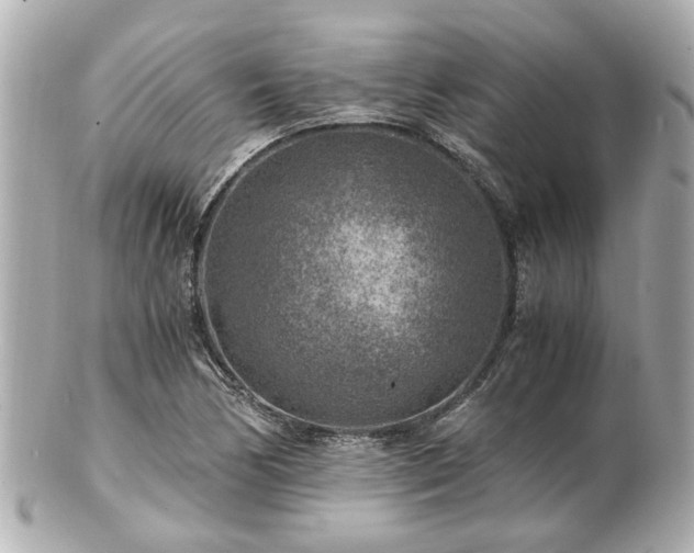 X0000100901170200807011213
