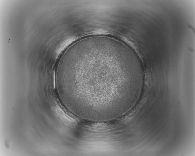 X0000100901171200807011213