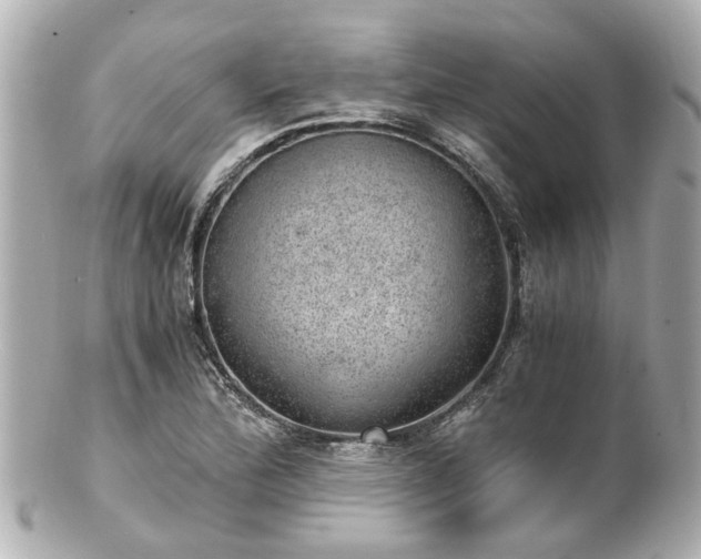 X0000100901172200807011213