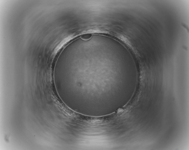 X0000100901173200807011213