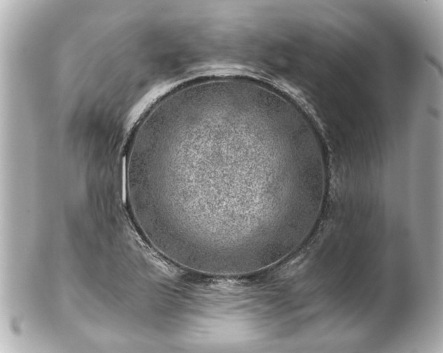 X0000100901175200807011213