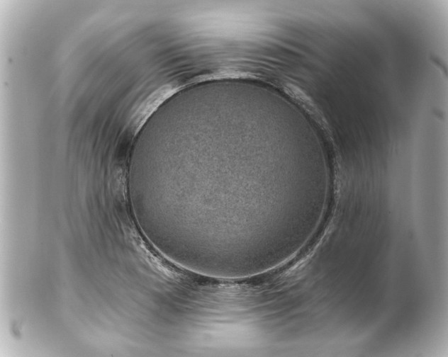 X0000100901177200807011213