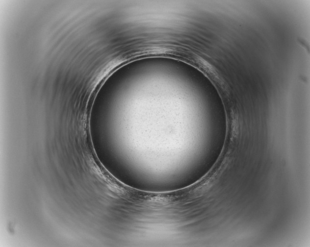 X0000100901178200807011213