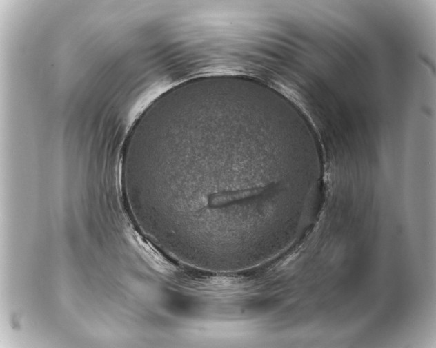 X0000100901179200807011213
