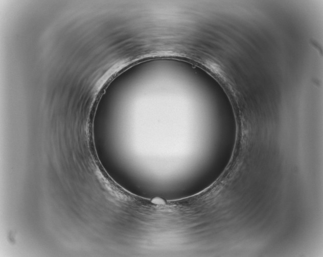 X0000100901181200807011213