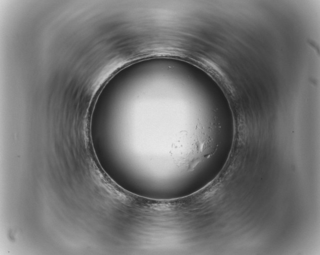 X0000100901182200807011213