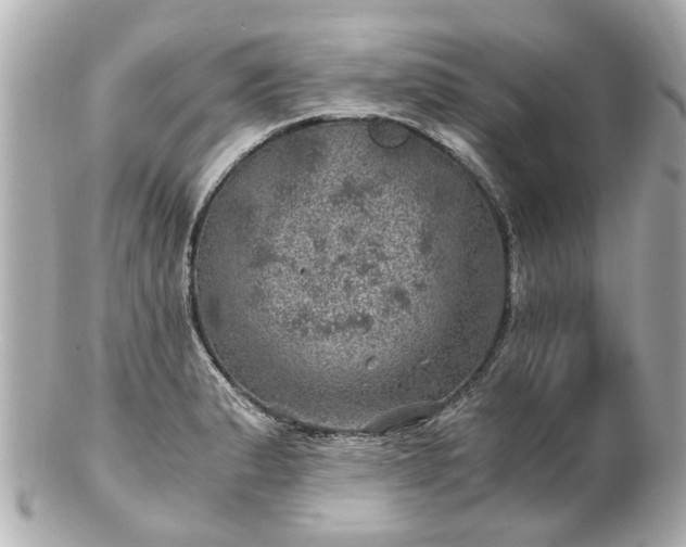 X0000100901183200807011213