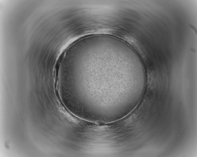 X0000100901184200807011213