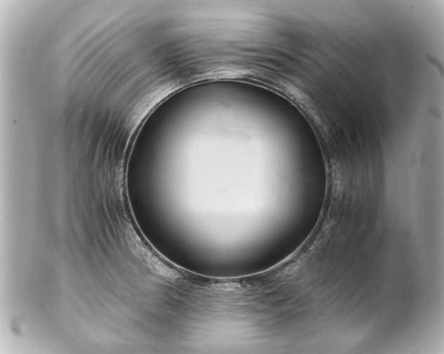 X0000100901186200807011213